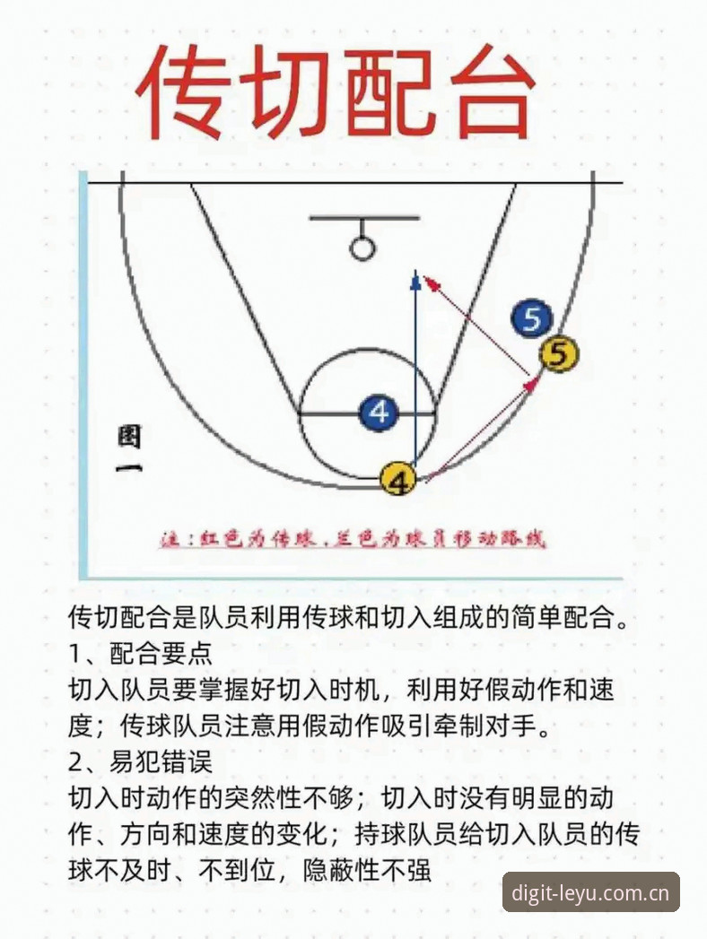乐鱼体育平台深度解析：从新手到高手的进阶技巧与实战经验